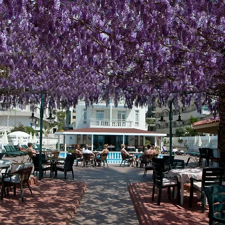 Azak Alanya
